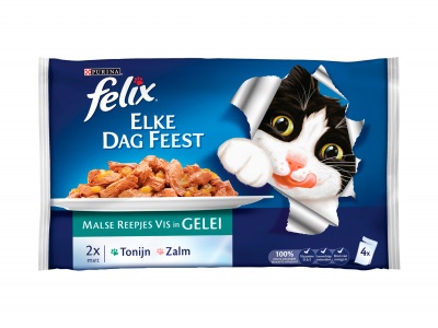 Felix Malse reepjes met vis in gelei