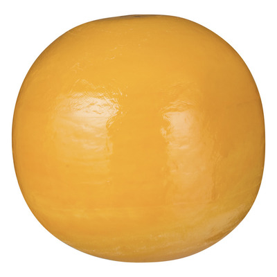 Edam Jong 40+