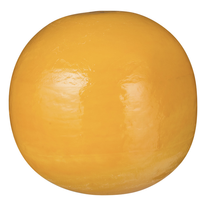 Edam Jong 40+
