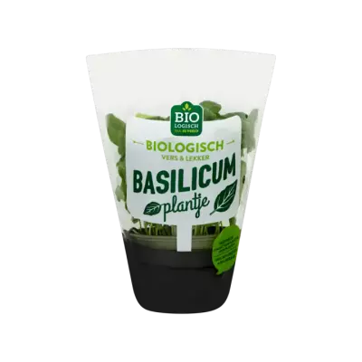 Huismerk Basilicum Plantje