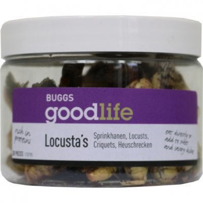 Goodlife Locusta's sprinkhanen
