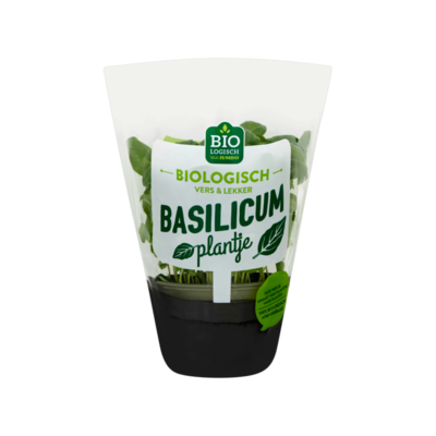 Huismerk Basilicum Plantje