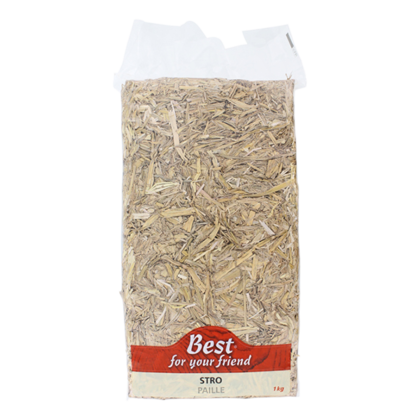 Best For Your Friend Stro