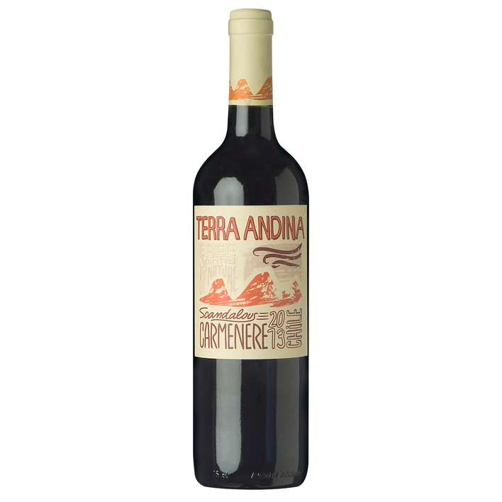 Terra Andina Carmenère
