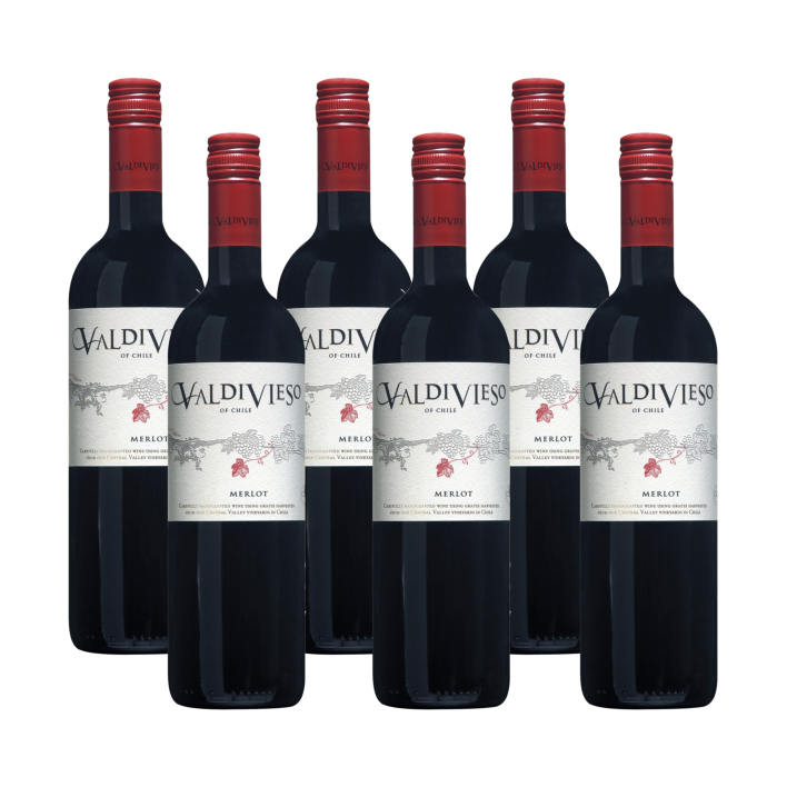 Valdivieso Merlot