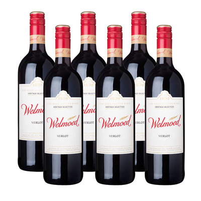 Welmoed 6 x Merlot
