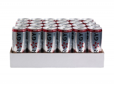 Slammers Tray 24 x 250 ml blikken