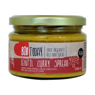 Bio today Lentil curry spread