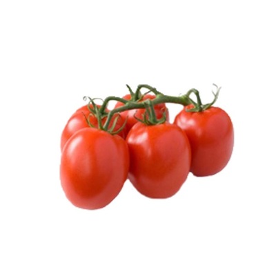 tomaat pomodori
