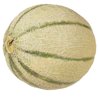 Huismerk Cantaloupe meloen