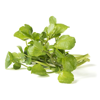 Huismerk Biologisch Waterkers