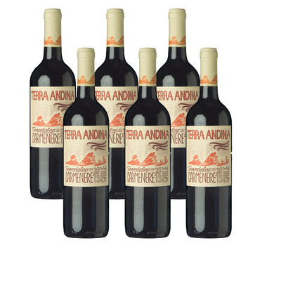 Terra Andina Carmenère