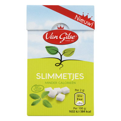 Van Gilse Slimmetjes