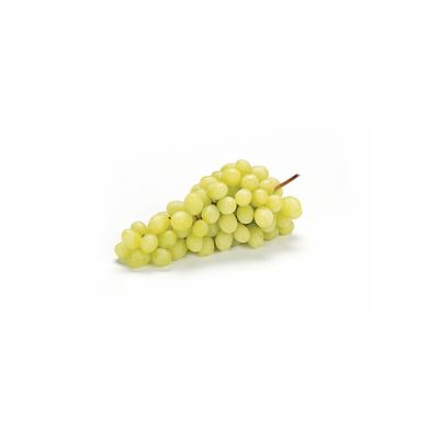Witte Druiven