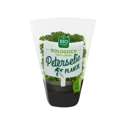 Huismerk Biologisch Biologisch Peterselie Plantje