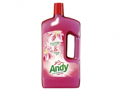 Andy Allesreiniger lelie fris