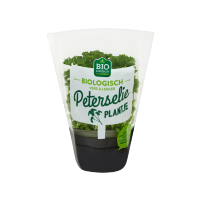 Huismerk Biologisch Biologisch Peterselie Plantje