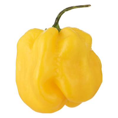 Huismerk Adjuma peper