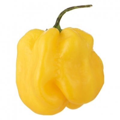 AH Adjuma peper