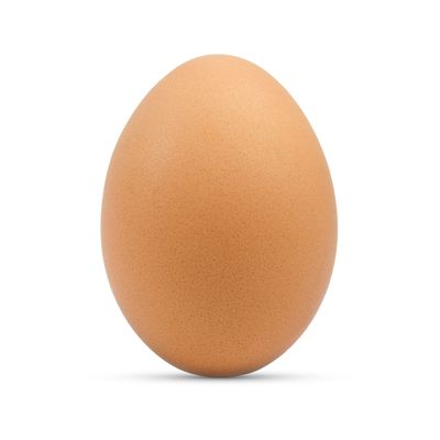 Volkoren Vrije Uitloopei Maat Xl