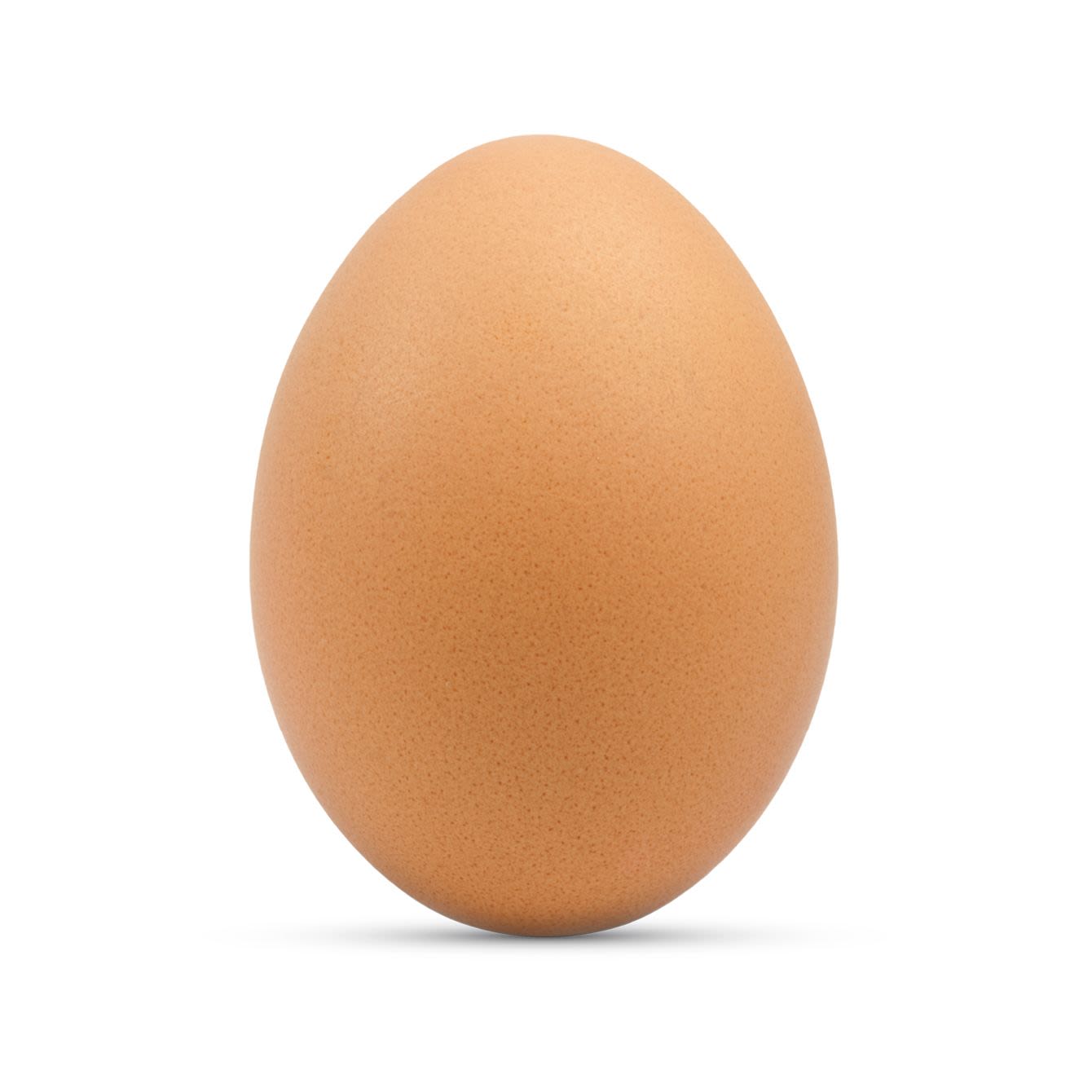 Volkoren Vrije Uitloopei Maat Xl