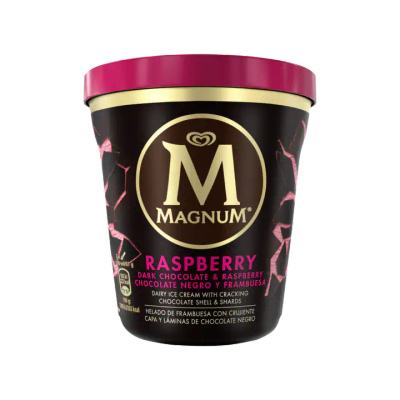 Magnum Pint Dark Chocolate Raspberry