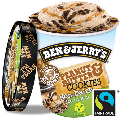 Ben & Jerry's Peanutbutter cookie non-dairy