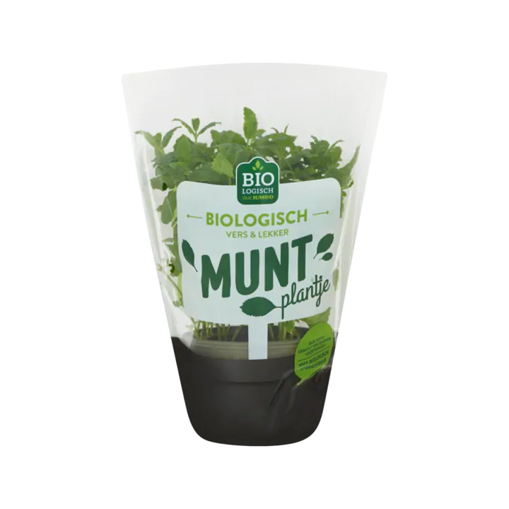 Huismerk Biologisch Munt Plantje