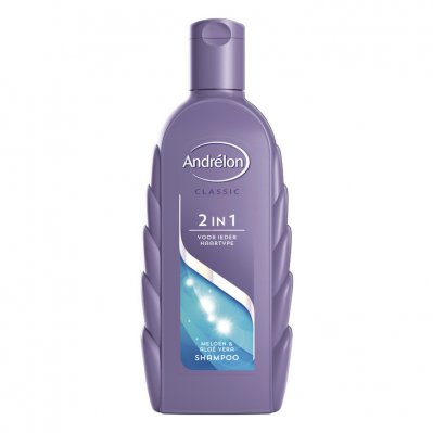 Andrélon Shampoo 2 in 1