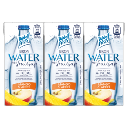 Dubbelfrisss Bronwater appel-mango 6x200ml