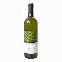 Lavis Chardonnay