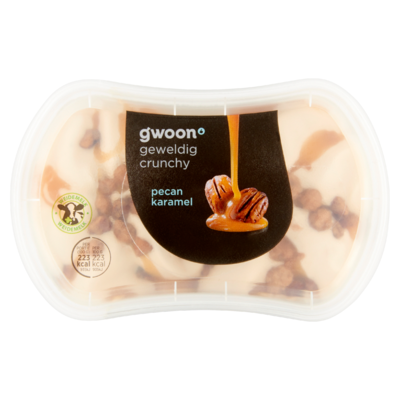 Huismerk Slagroomijs Pecan Karamel 200 ml
