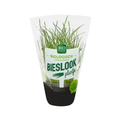 Huismerk Bieslook Plantje