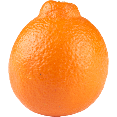 Minneola los