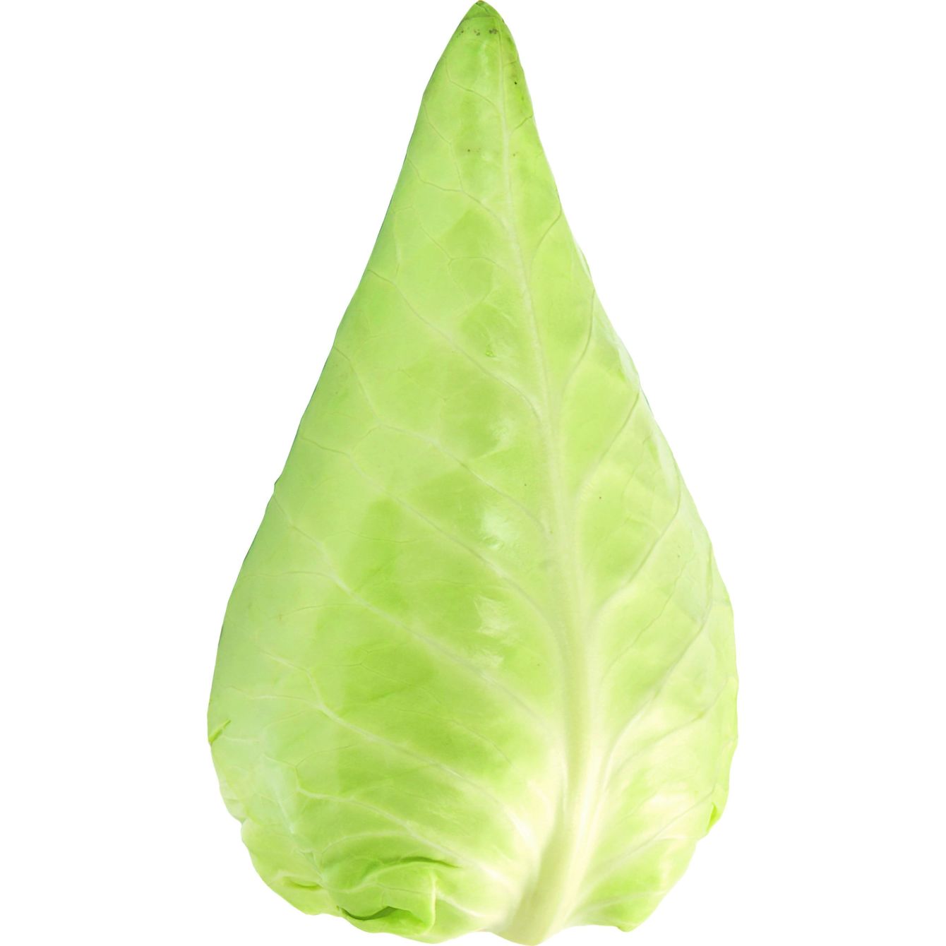 Spitskool