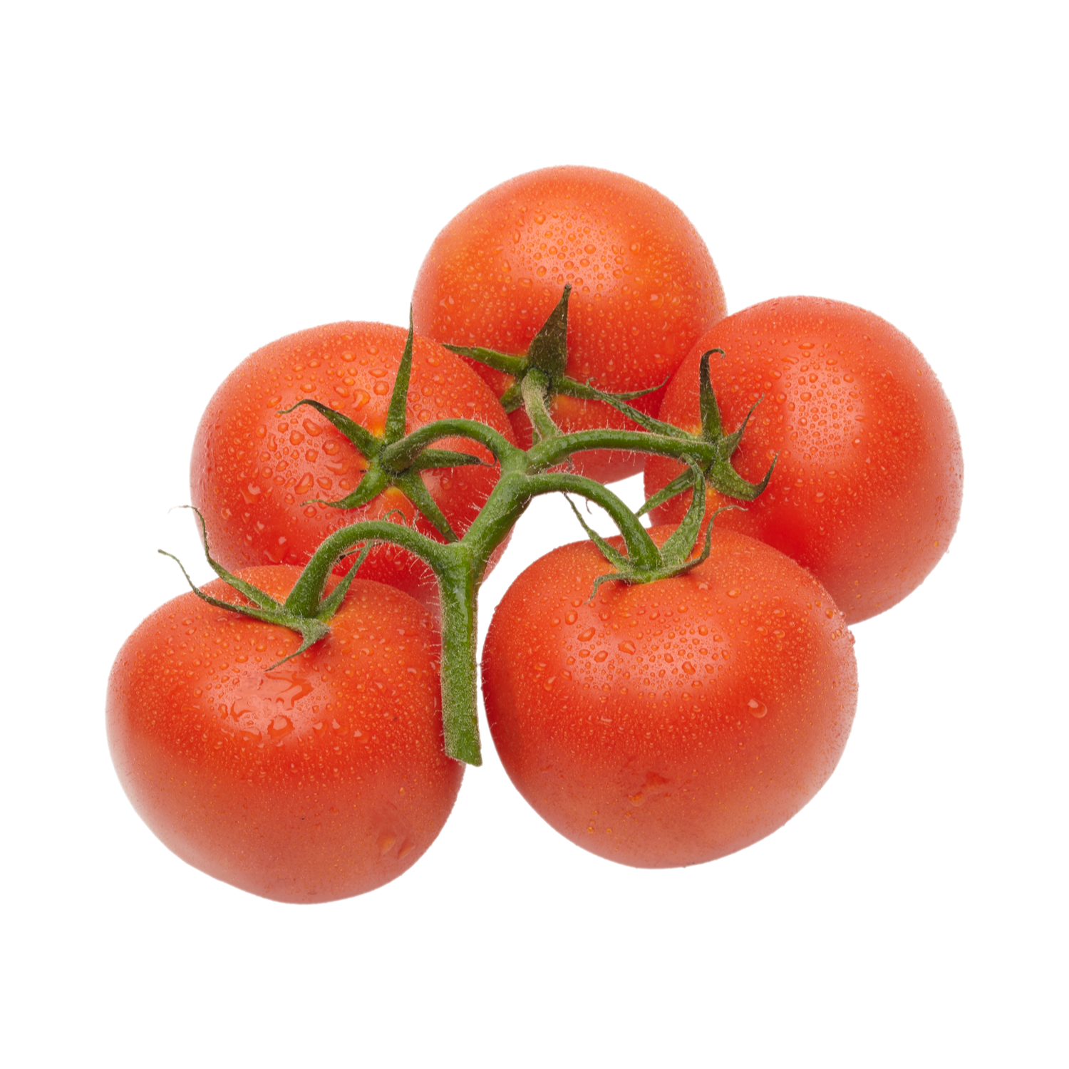 Hollandse Trostomaten