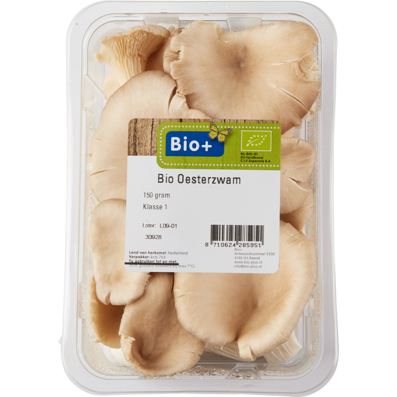 Bio+ Oesterzwammen