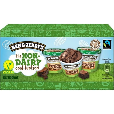 Ben & Jerry's Chocolate fudge brownie non-dairy