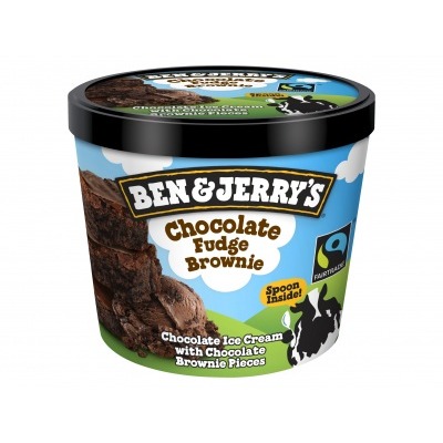 Ben & Jerry's Choc fudge brownie