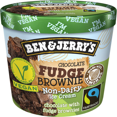 Ben & Jerry's Chocolate fudge brownie