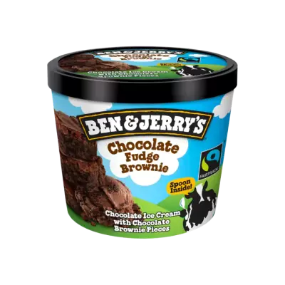 Ben & Jerry's Minicup IJs Chocolate Fudge Brownie