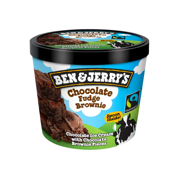 Ben & Jerry's Minicup IJs Chocolate Fudge Brownie