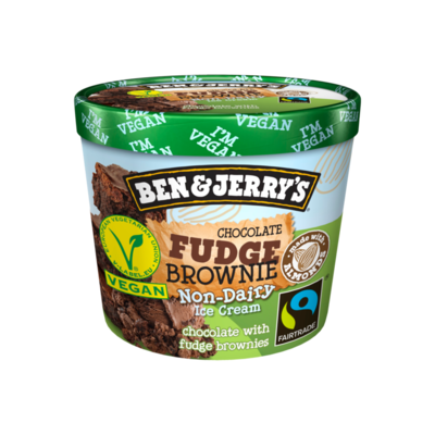 Ben & Jerry's Non-Dairy Chocolate Fudge Brownie
