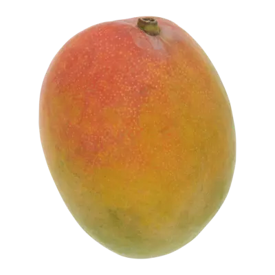 Huismerk Mango