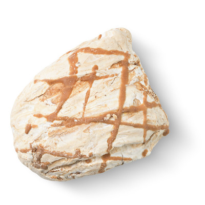 Huismerk Meringue salted caramel smaak