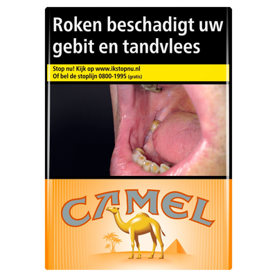 Camel Orange Box 22