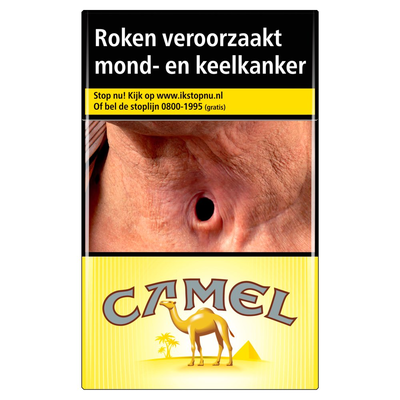Camel Filters Box 20 Stuks