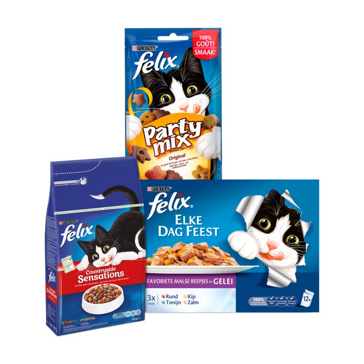 Voor de Ondeugende Kat