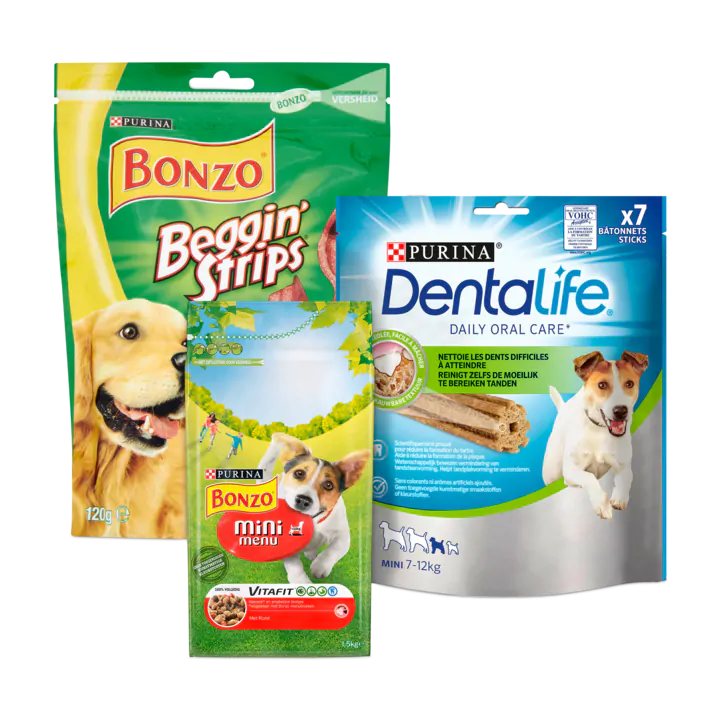 Gelukkige Kleine Hond Pakket