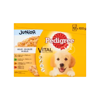 Pedigree Hondenvoer Nat Vital Protection in Gelei Junior 12 Maaltijdzakjes x